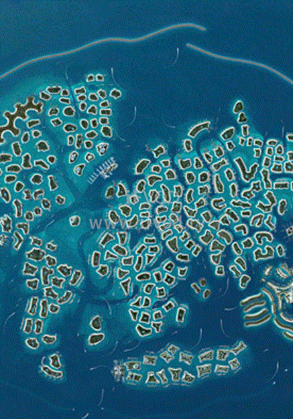 迪拜世界岛(全集)